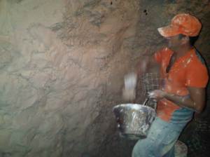 IMG00361-20100730-1149