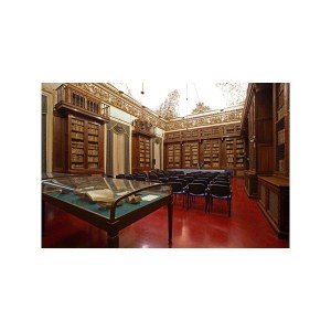 universal-mpe-lucido-opaco-color