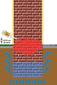 grafico%20per%20sito