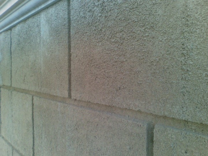 10253960_473126256153524_2963494566429120007_n